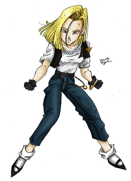 android18.jpg